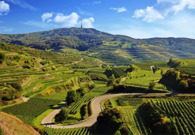 Kaiserstuhl – Elsass