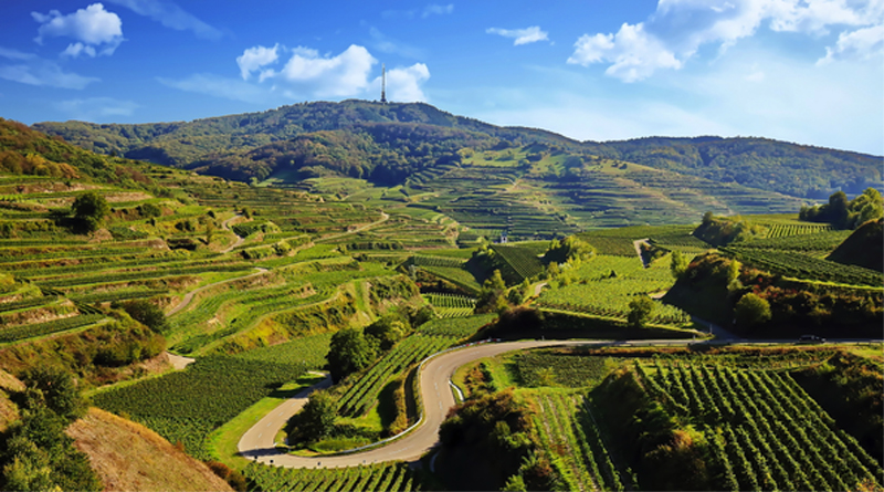 Kaiserstuhl – Elsass