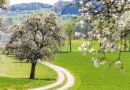 Kultur- und Genussherbst in der Wachau & Mostviertel